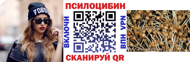 где купить наркоту  Шлиссельбург  Галлюциногенные грибы мухоморы 